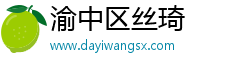 渝中区丝琦